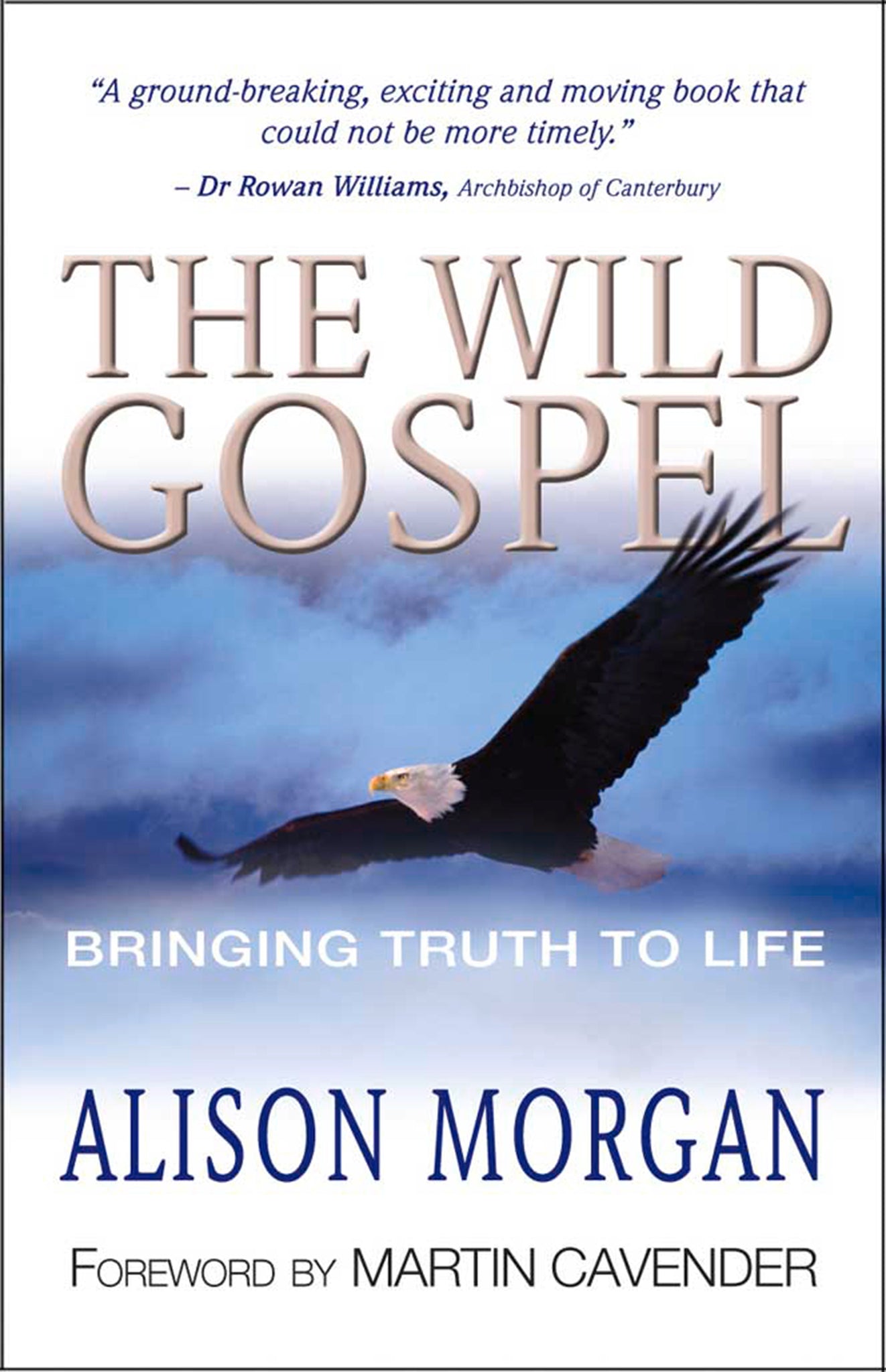 Cover image for The Wild Gospel ISBN 9781854246721